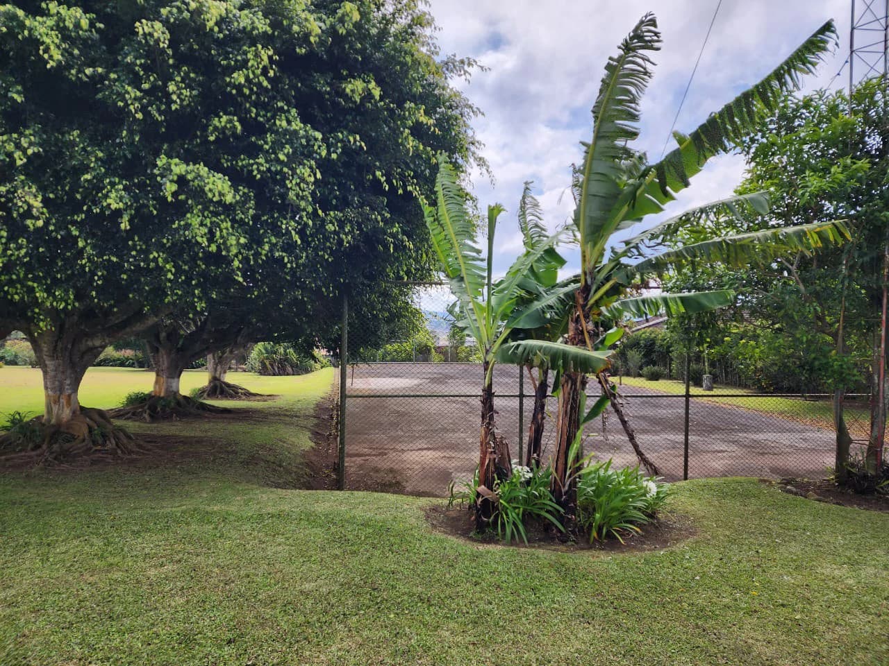 Villa For Sale in San Luis - photo 53