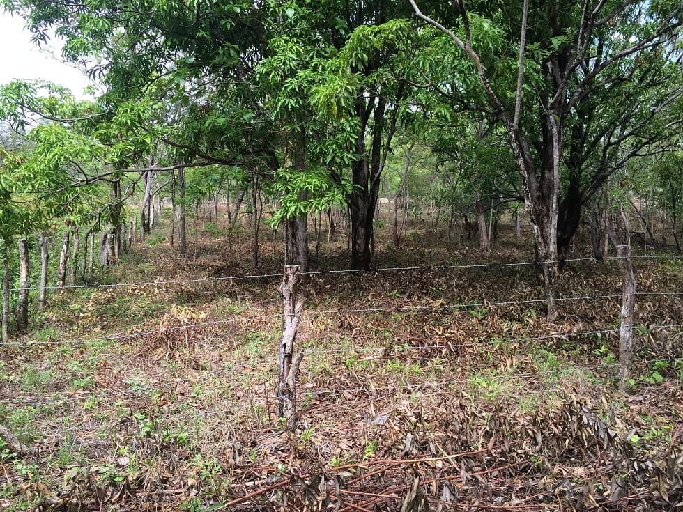 Finca grande: Economic Building property for sale in El Salto, with private access to the surrounding beautiful nature with own river - photo 6