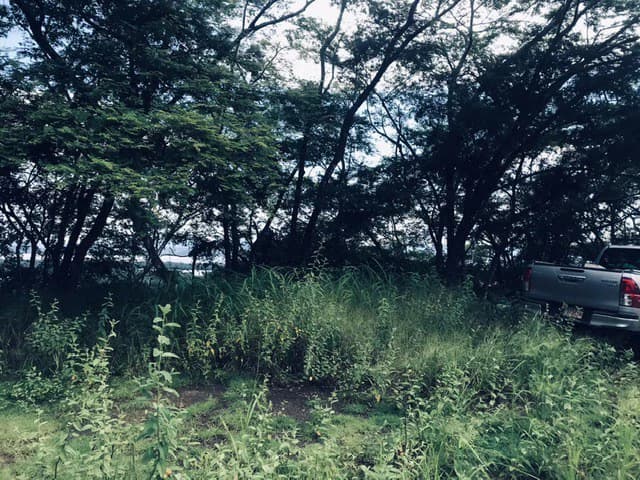 Amazing 50% discount for Huge ocean-view farm for sale surrounded by soft rolling hills and pristine nature - photo 42