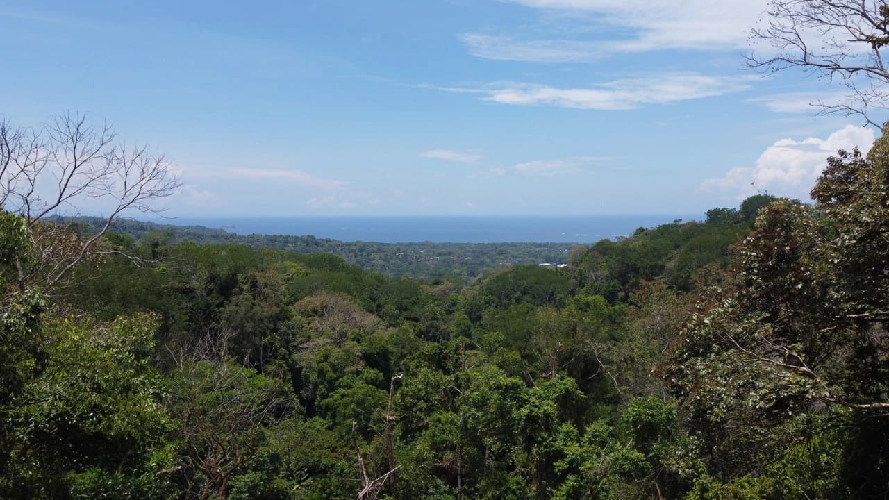 Ocean View Estate Lot with Private Waterfall – Uvita - photo 5