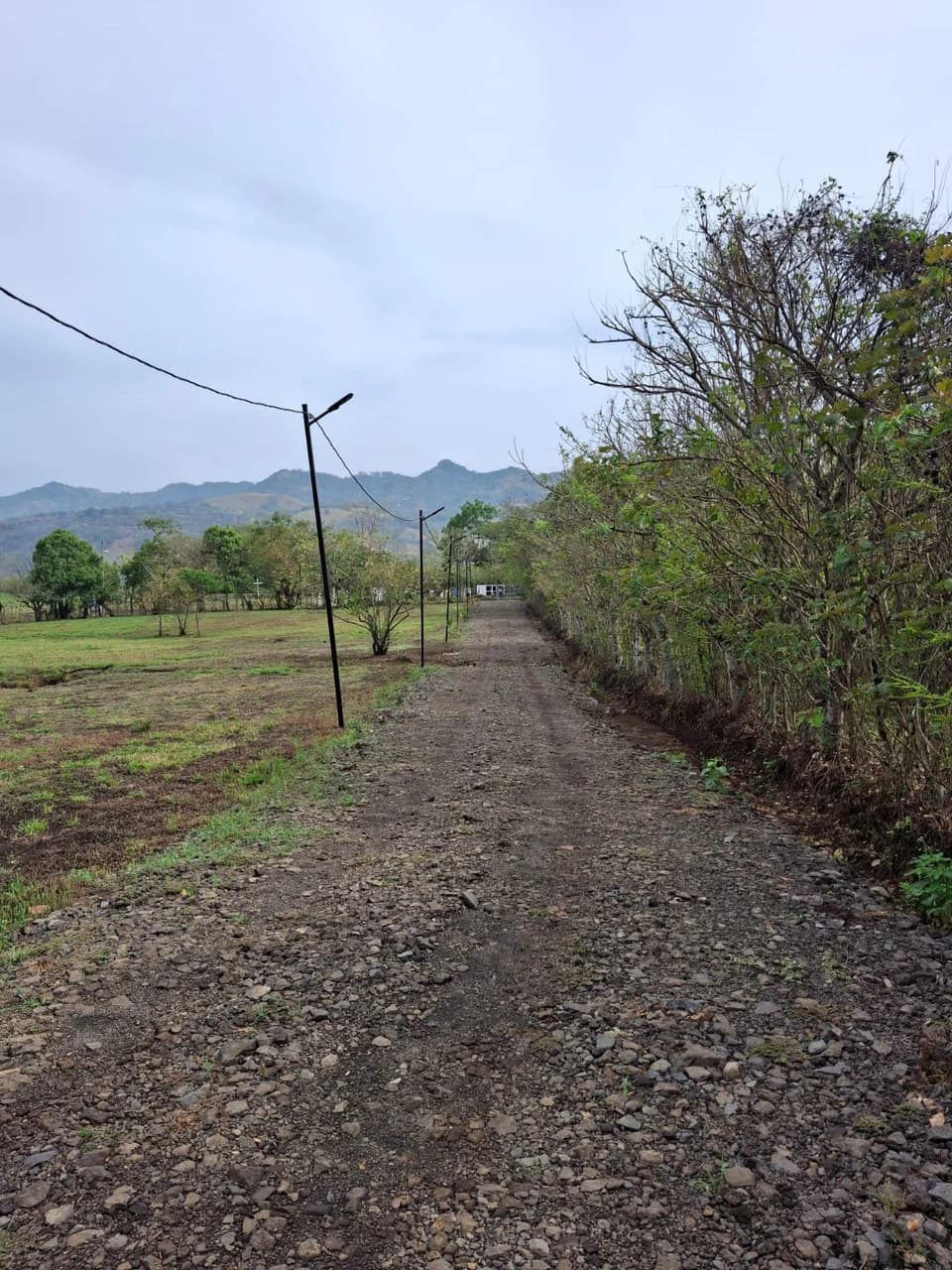 Finca Nature: Beautiful Private Finca near Atenas! - photo 10