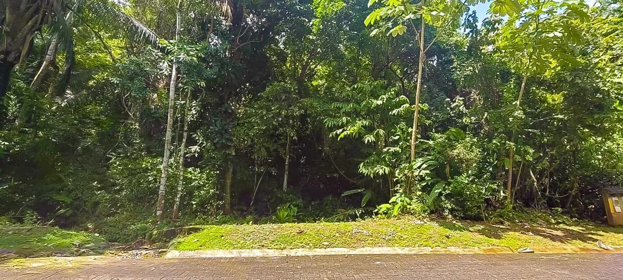 LAND FOR SALE IN COSTA ESTERILLOS ESTATES - photo 6