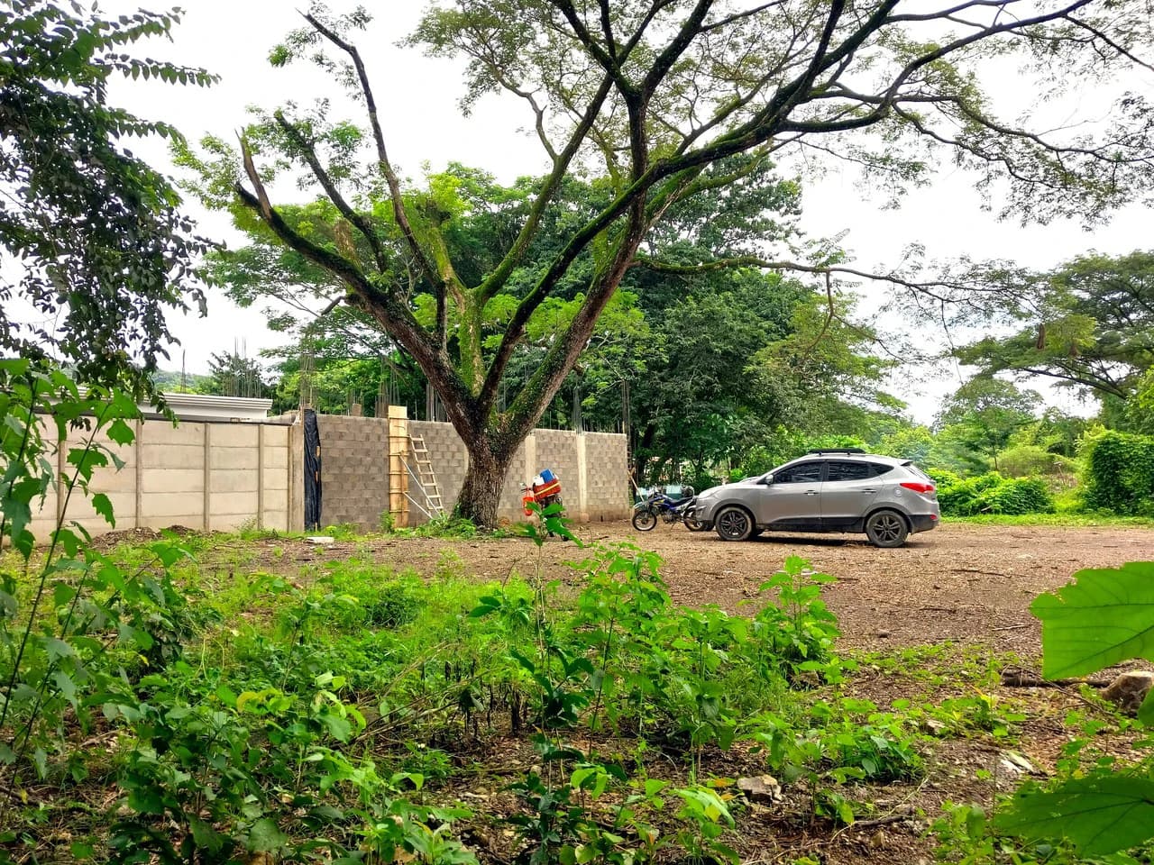 Lot With Water - Fantastic Opportunity in Samara - photo 4