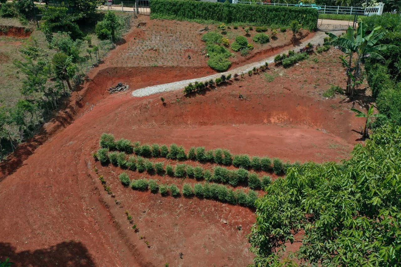 Prime 40,000 Sq. Ft. Building Lot with Mountain & Valley Views in Pérez Zeledón - photo 15