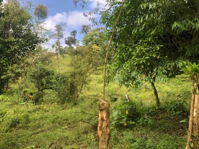 Hot and Cold Thermal Springs for Sale – Beautiful Property in Dos Ríos, Alajuela with Excellent Commercial Potential - photo 20
