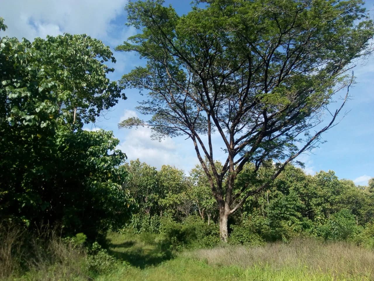 Large commercial property for sale in the Papagayo area, close to the Marina Papagayo or Four Season luxury hotel - photo 7