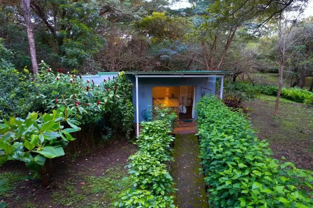 Countryside and Mountain Property For Sale in Curubandé - photo 6