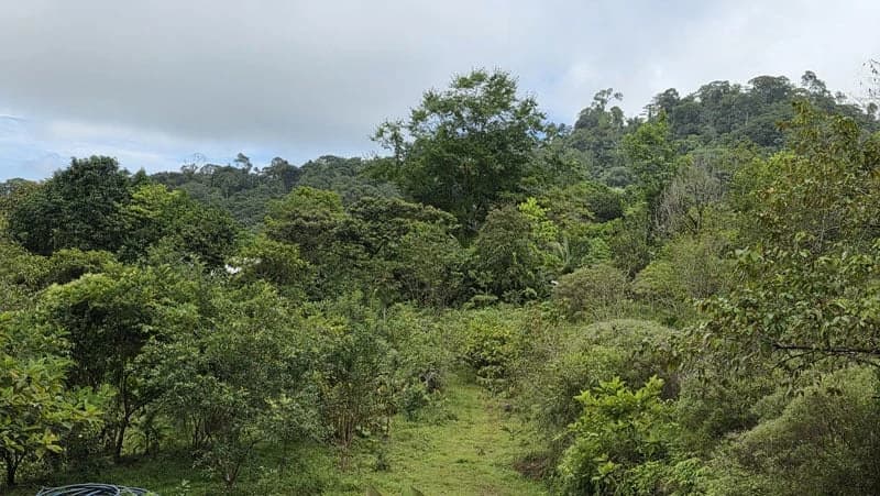 116-Hectare Finca for Sale Near Uvita with Whales Tail Views and 10 Waterfalls | La Faralla, Bahia Ballena, Uvita, Puntarenas, Costa Rica - photo 52