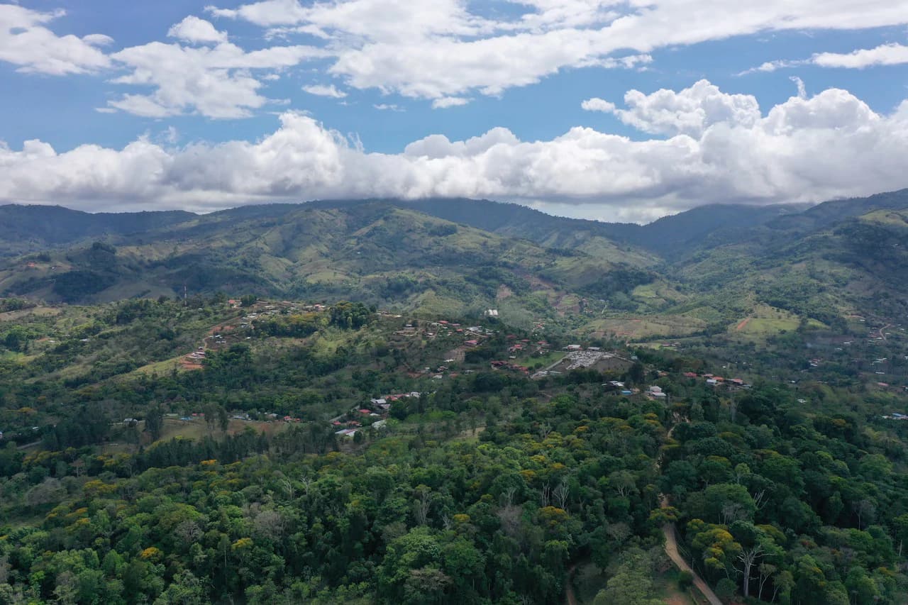 Elevated Two and a Half Acres with Cool Breeze in San Isidro del General - photo 12