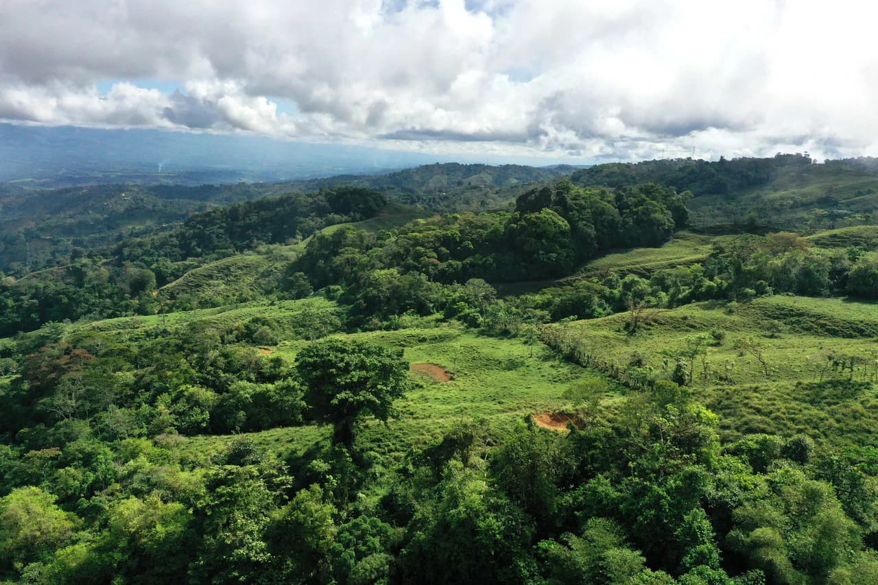 150 Acre Cattle Ranch with Panoramic Views Above the mountains of Uvita - photo 21
