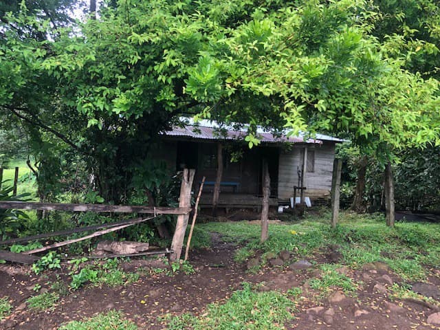 Warm Spring Mountain Property in a tropical landscape and antique wooden house, 50 minutes from Liberia city - photo 12