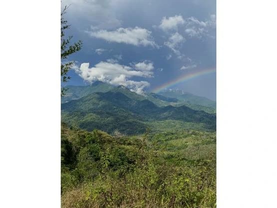 SPECTACULAR ECOLOGICAL MOUNTAIN FARM IN BIJAGUAL DE TURRUBARES - photo 2