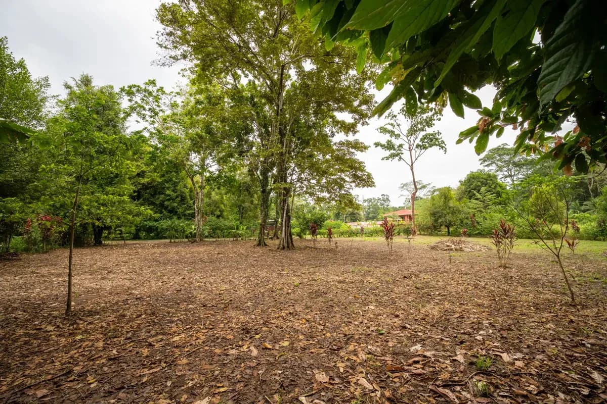 ID 1150: 3000 sqm Titled Land Near Cahuita National Park, Costa Rica - photo 4