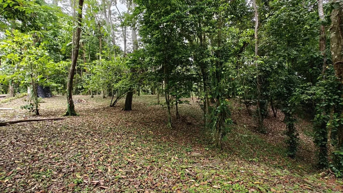 ID 1121: 1,979m² Titled Lot - Last Available Lot in Punta Uva Hills - Near Punta Uva Beach - photo 9