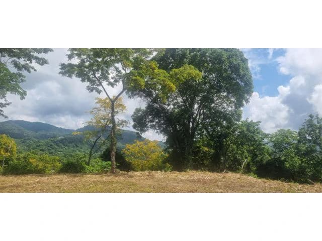 Mountain View property for sale in Samara, stunning 360 nature views land perfect for building - photo 7