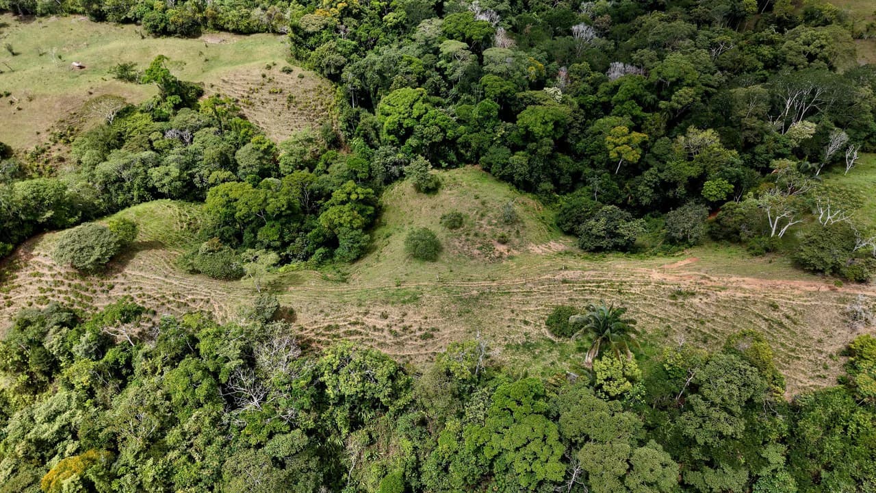 Countryside Home Construction Site For Sale in Centro de Pérez Zeledón - photo 3