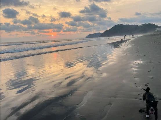 BEACH FRONT HOTEL JACO - photo 37