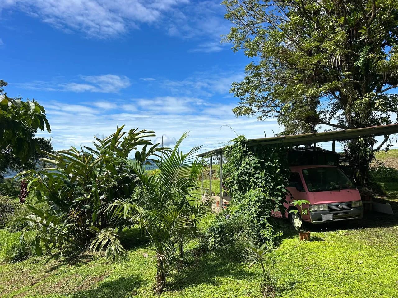 THE HOMESTEAD - Off-Grid Eco-Paradise for Sale in Nuevo Arenal, Costa Rica. - photo 16