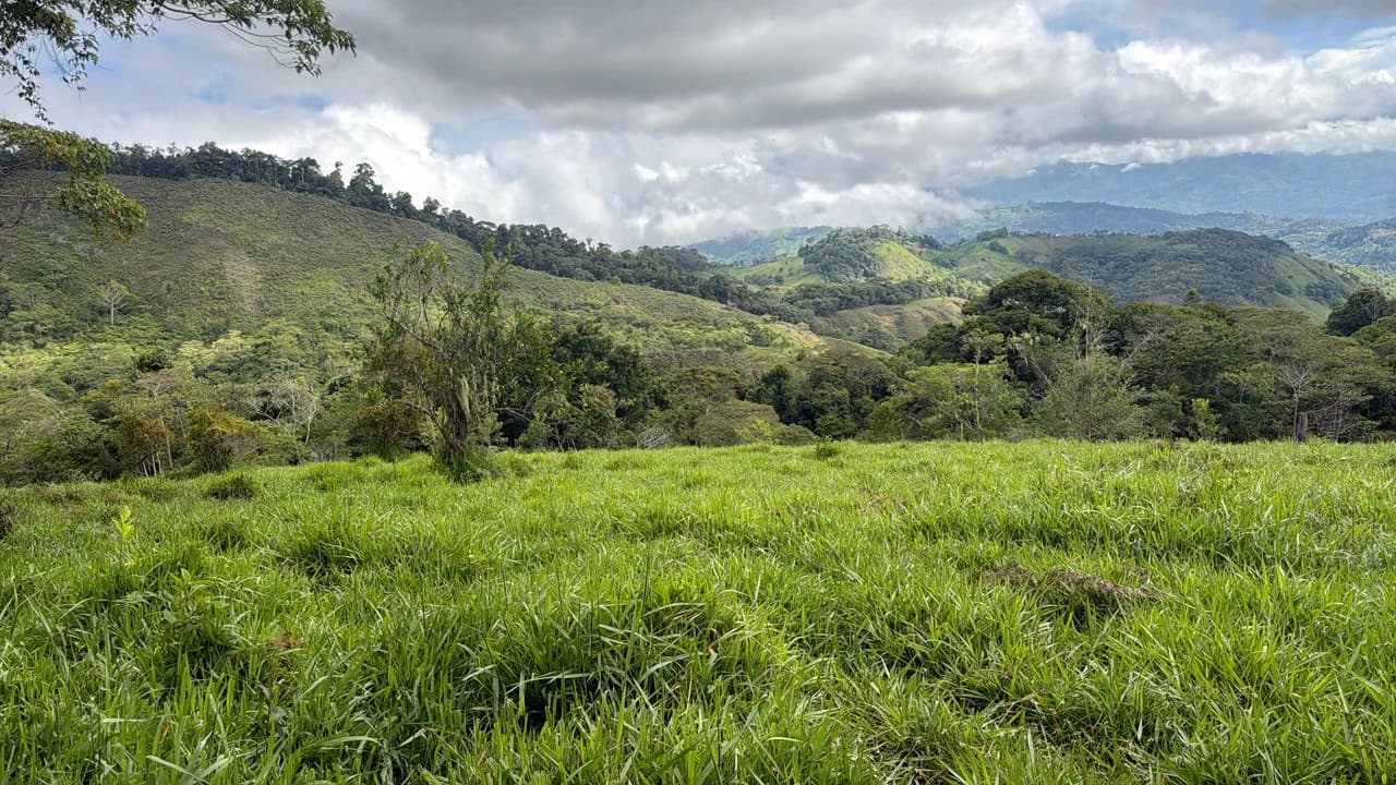 Mountain Agricultural Land For Sale in San Isidro del General - photo 13