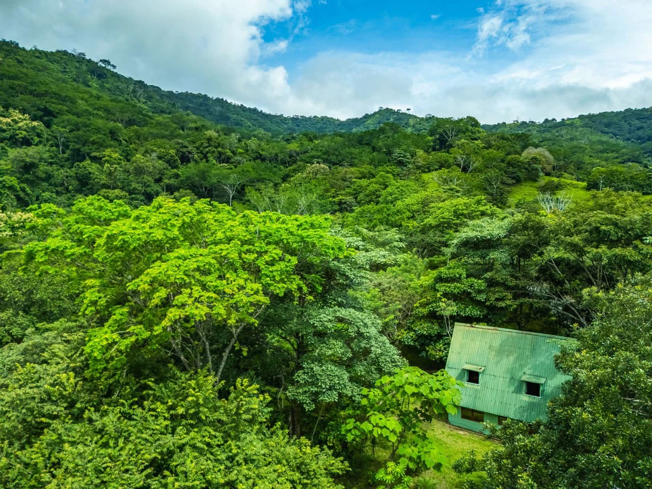 Casa Verde: Your Green Dream