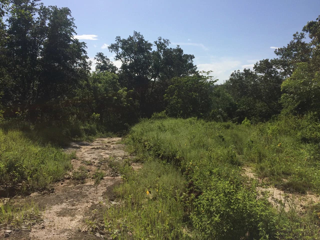 Finca de 31 hectáreas en Liberia: Great investment opportunity - photo 6