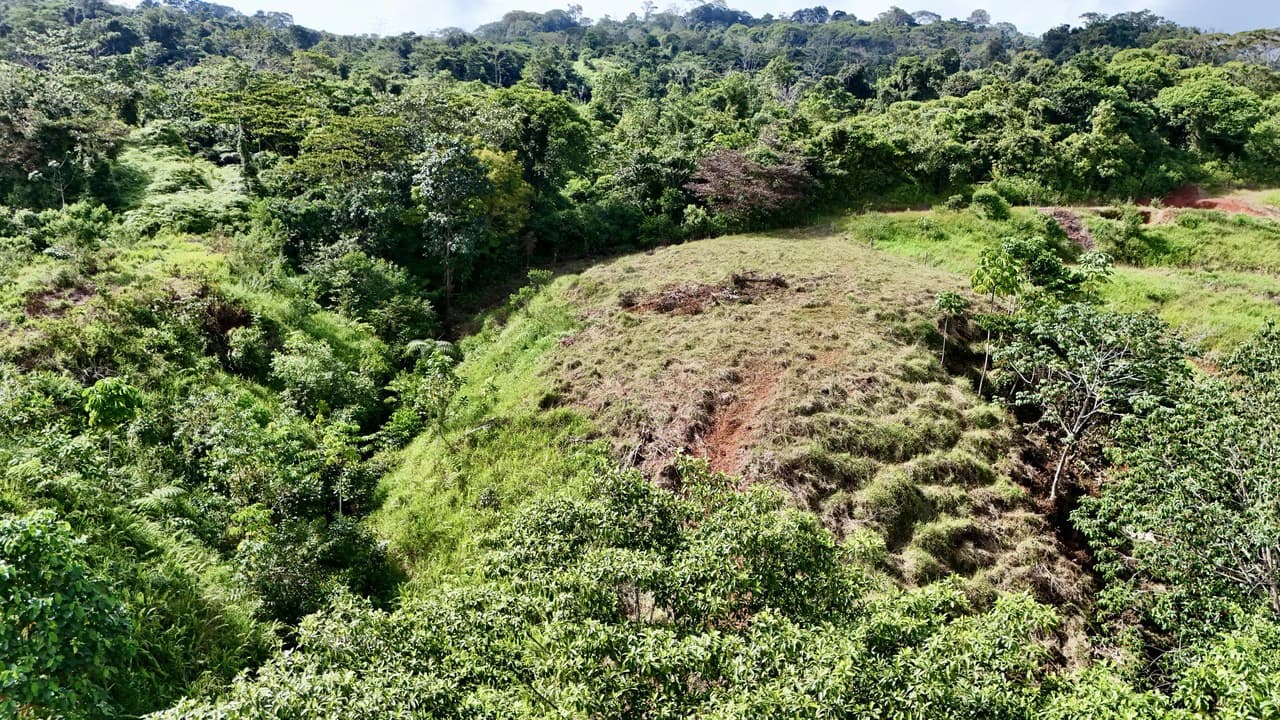 Off-Grid Ocean View Lot | 1.7 Acres in Las Nubes Matapalo Hills - photo 11
