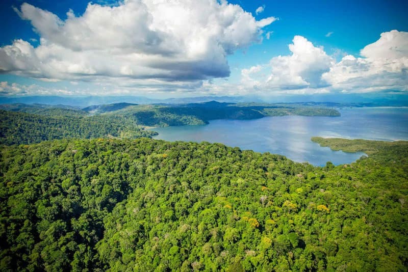 Ocean View & Primary forest 55-ha Rincon de Osa - photo 36