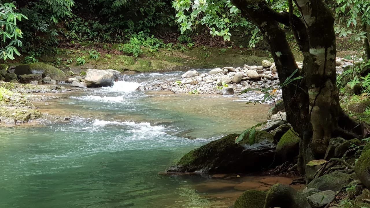 Exceptional Development Opportunity in Puerto Cortes, Osa - photo 5