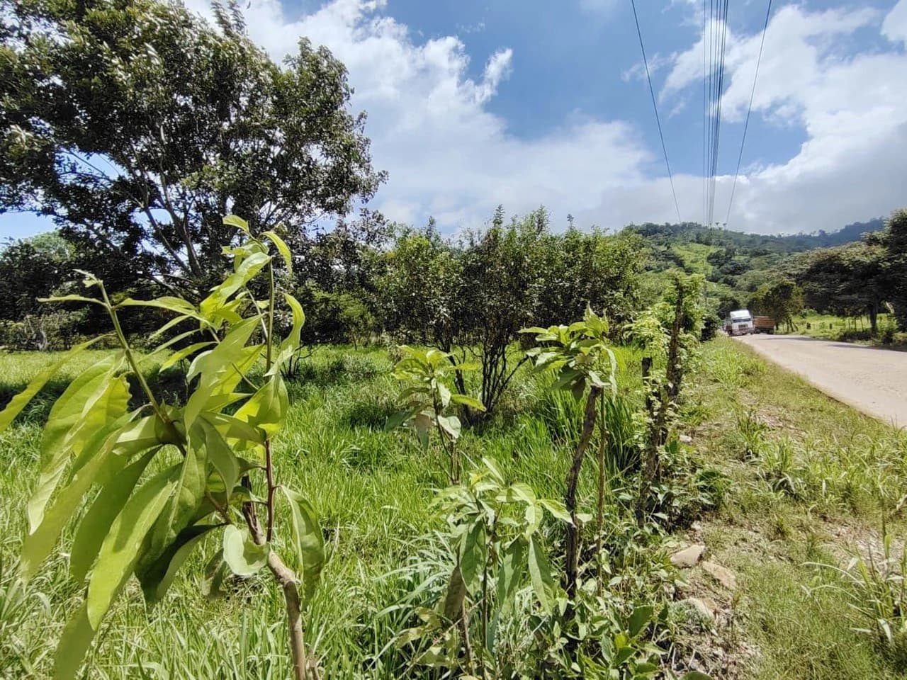 Se vende propiedad en el Rosario Pacuar, Pérez Zeledón.: Countryside Home Construction Site For Sale in Daniel Flores - photo 8