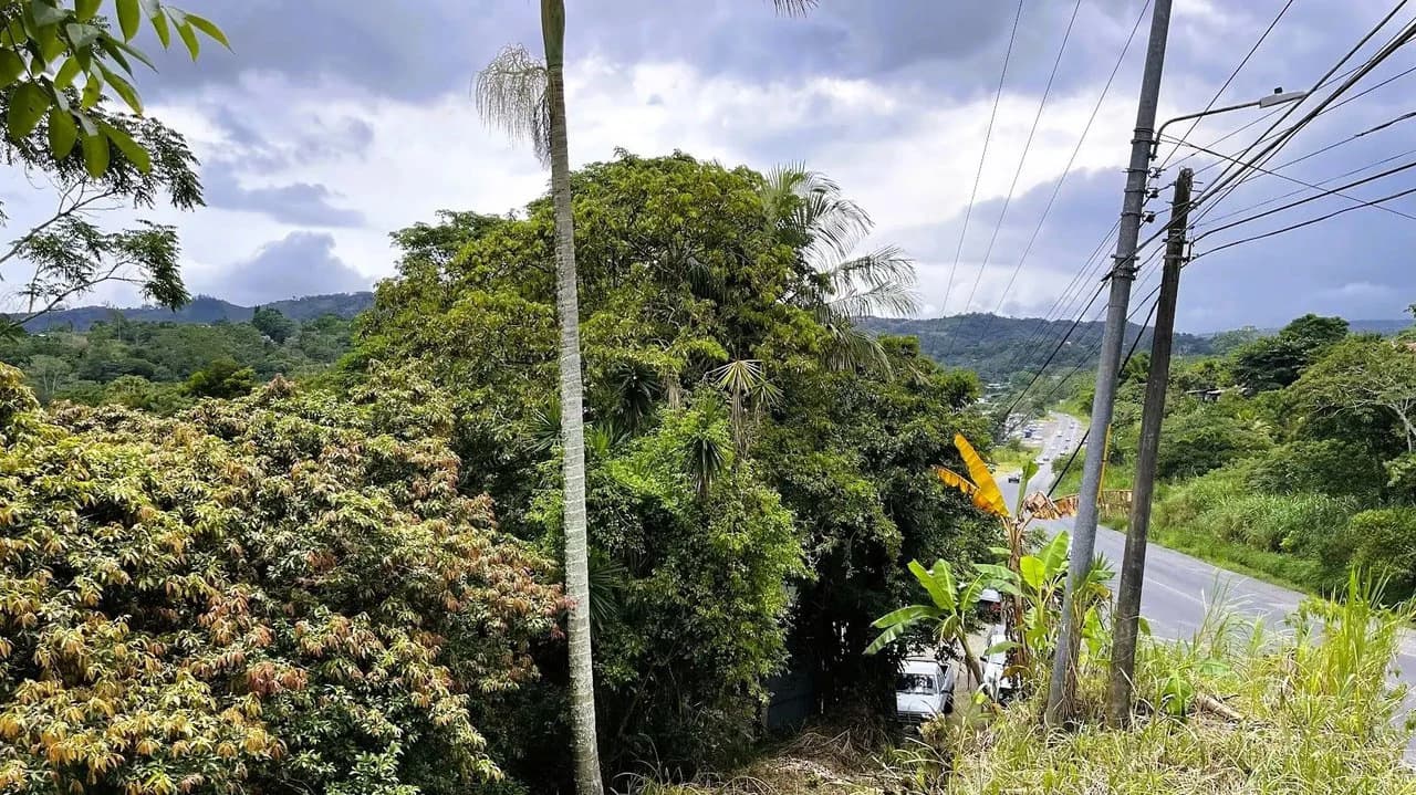 LAND FOR SALE IN SAN MIGUEL, NARANJO - photo 2