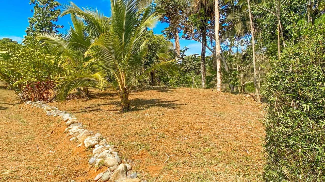 32 Acre Self Sustainable Farm with House Close Ojochal - photo 53
