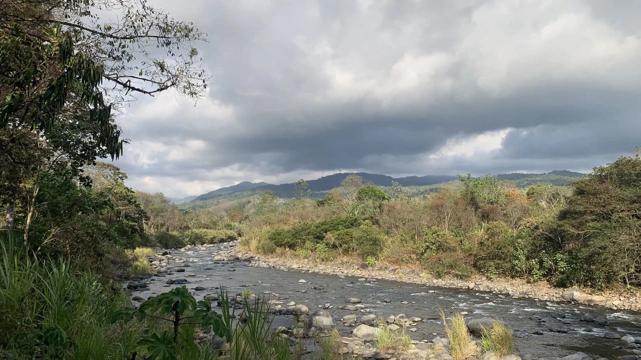 Talari Hotel: Nature and Bird Lover's Paradise - Mountain Lodge - photo 25