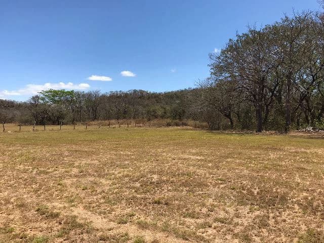 Huge terrain for sale in Guardia close to the International Airport of Liberia - photo 36