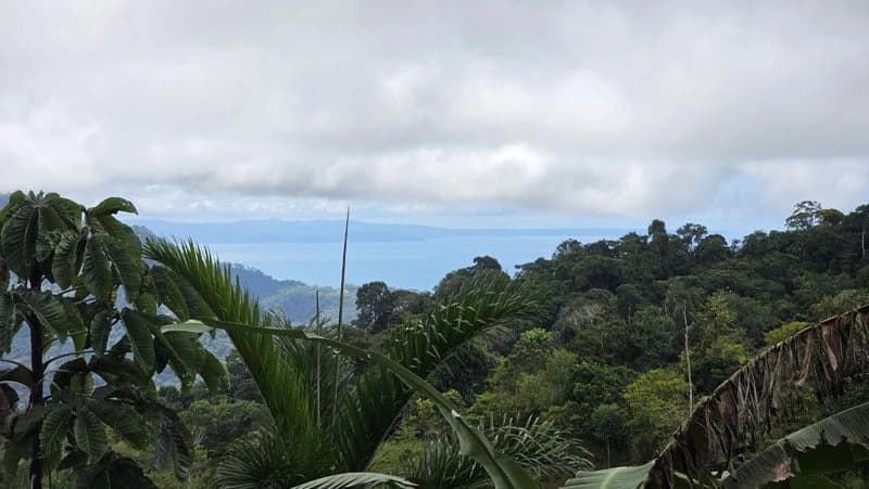 116-Hectare Finca for Sale Near Uvita with Whales Tail Views and 10 Waterfalls | La Faralla, Bahia Ballena, Uvita, Puntarenas, Costa Rica - photo 59