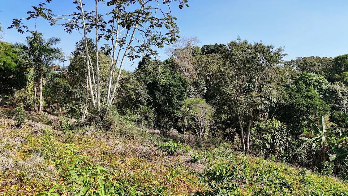 Home Construction Site For Sale in La Ceniza - photo 18