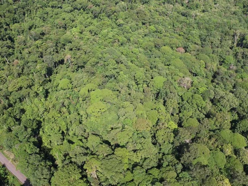 69.16 Acres Property | Mountain & Top Ocean View with Small Home - photo 8