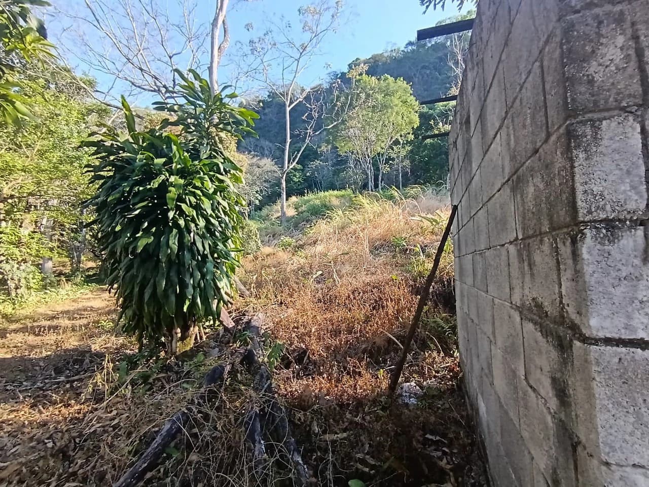 Property for sale in Ciudad Colon San José Costa Rica - photo 9