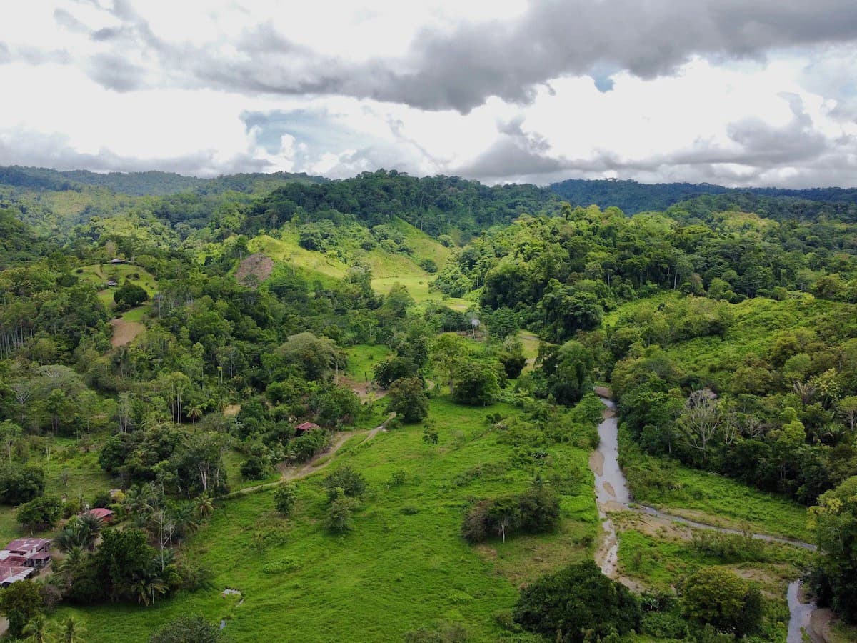 Jungle View Property in Osa Peninsula