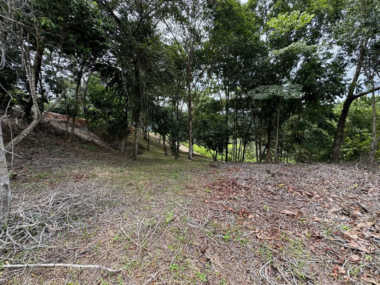 Diamante Waterfall View Land in Dominical 2.9 Acres - photo 22