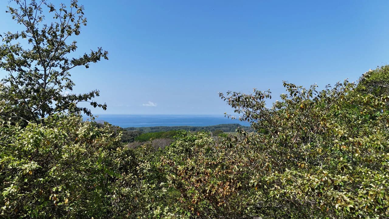Exceptional Development Opportunity 71 acre Riverfront & Ocean View in Hatillo - photo 10