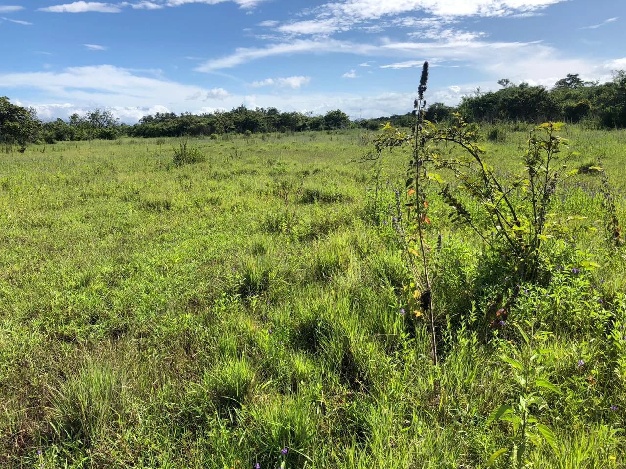 Great investment opportunity, property adjacent to Liberia Airport - photo 14