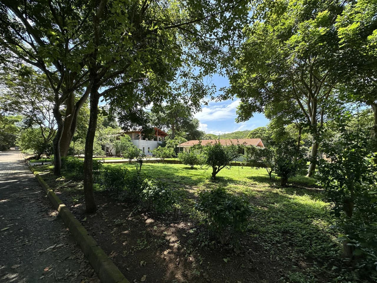 Private home in Tamarindo center: Family home inside "La Norma" - photo 17