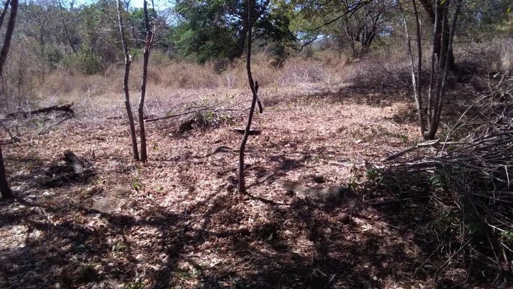 Huge agricultural land for sale near Liberia – excellent investment opportunity with river frontage in Bagaces - photo 4