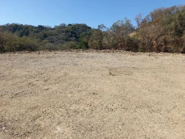 Building Lots for sale in a pristine and peacefull woodland 3 km from Samara Beach