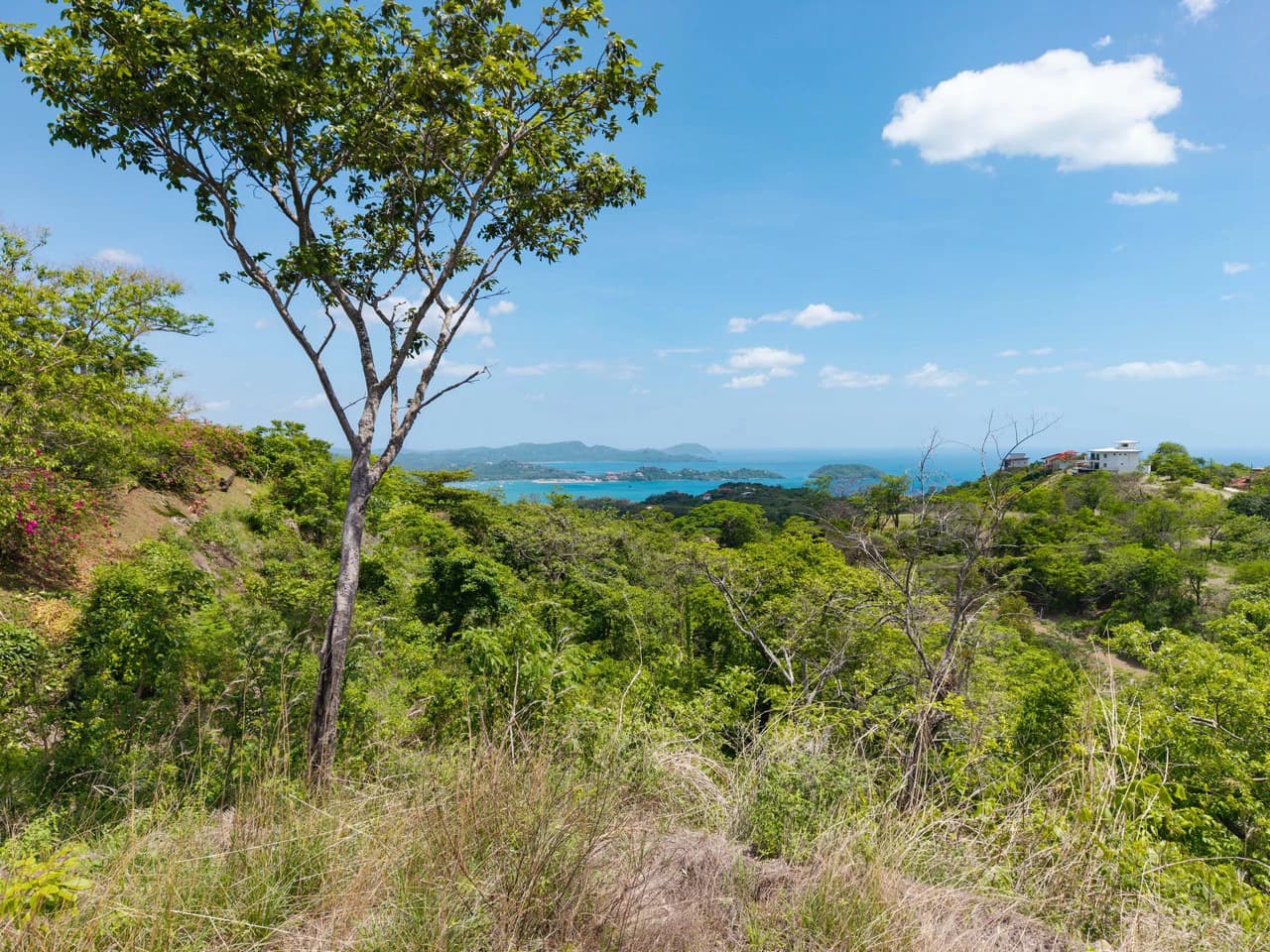 Miramar Ocean View Lot: Unmatched Views from this Spectacular Piece of Land in Pacific Heights - photo 10