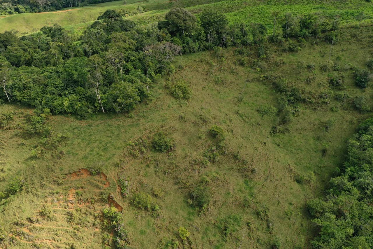 47 Acre Off Grid Ranch with Ocean & Mountain Views San Lorenzo Perez Zeledón - photo 11
