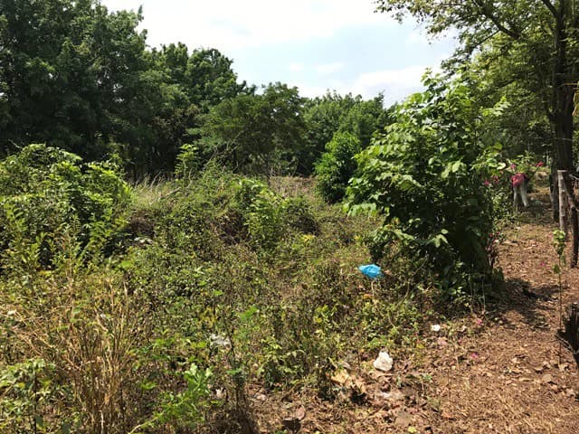 Great property in Santa Cruz: Excellent opportunity to develop in excellent location - photo 13