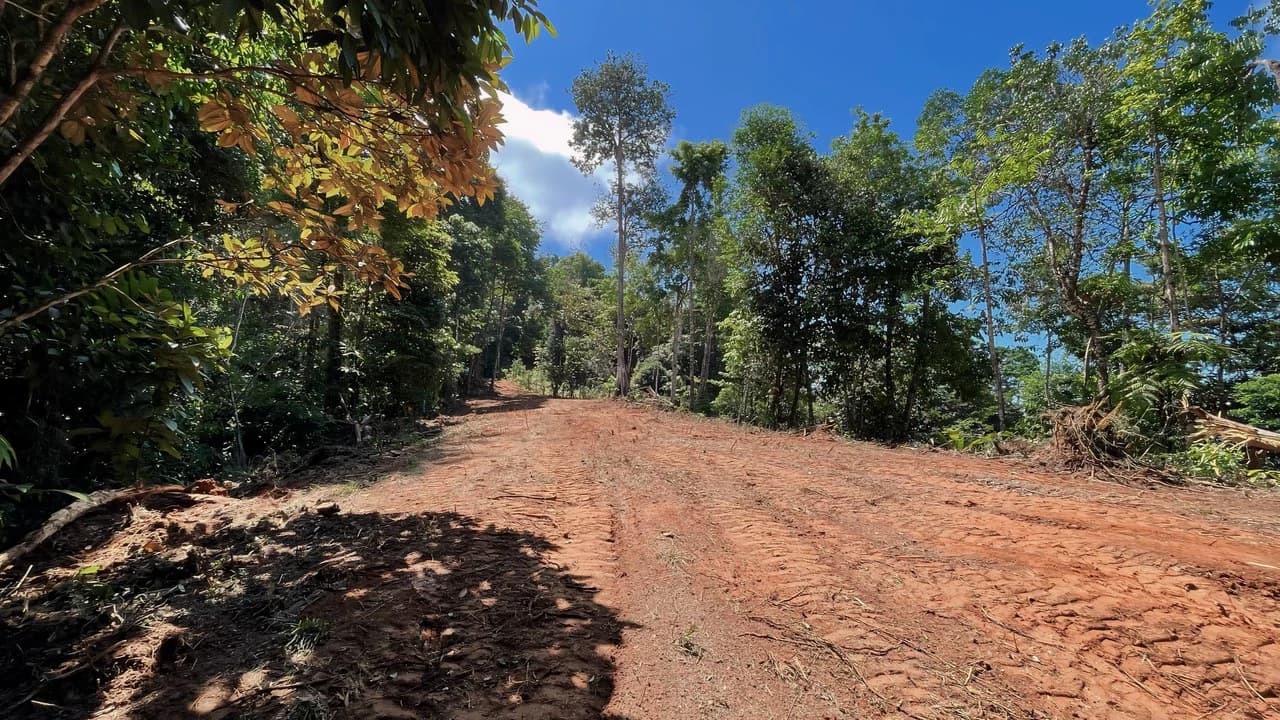 FINCA CERRO DEL TIGRE! OVER 20 ACRES OF PRIMARY FOREST AND WATERFALLS.: Mountain Agricultural Land For Sale in La Unión - photo 17
