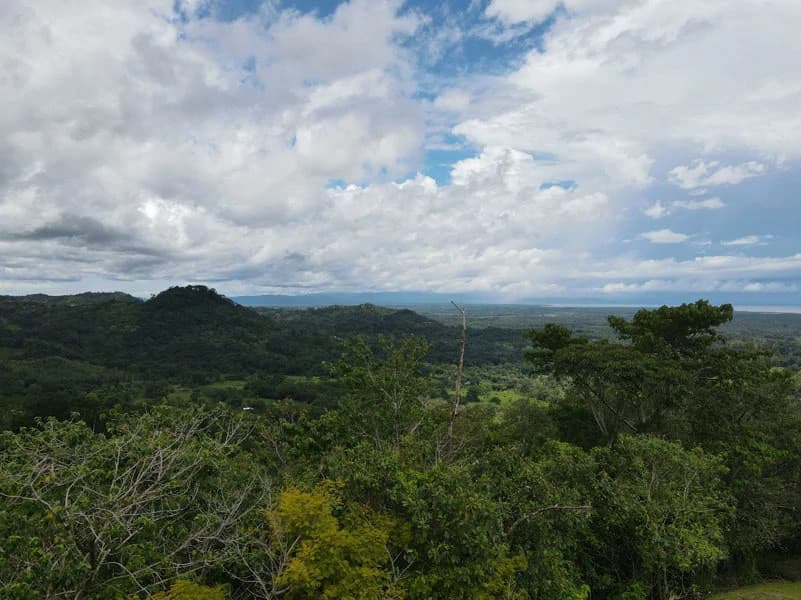 Panoramic 180 Degree Ocean View Lot Ready To Build Close To Ojochal - photo 27