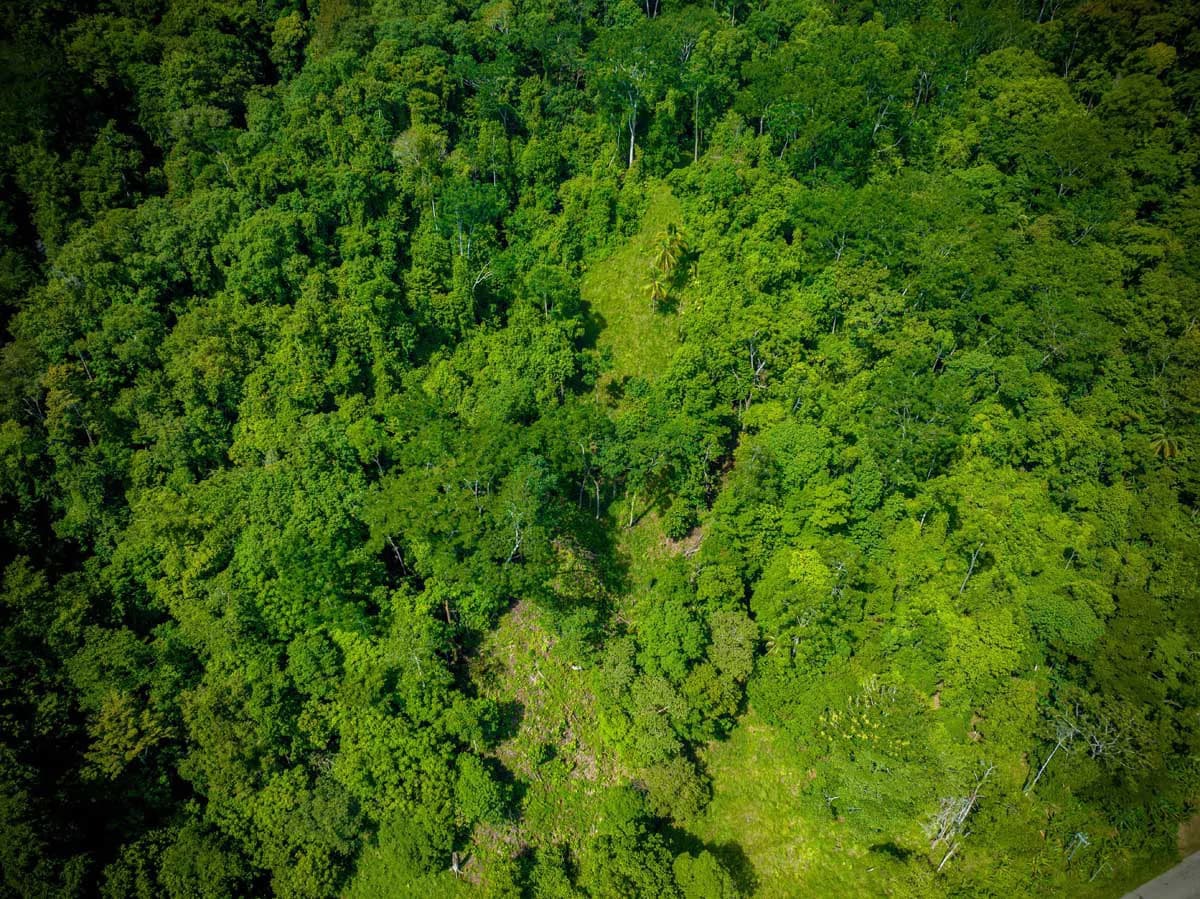 Rincon Mountain Land Gulf View | A Breathtaking Landscapes of Rincon - photo 13